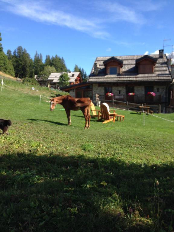Agriturismo Il Fiocco チェザーナ・トリネーゼ エクステリア 写真